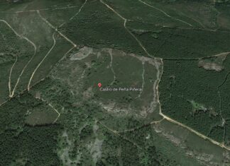 pena pinera