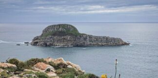 Isla de la Deva, Asturias