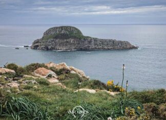 Isla de la Deva, Asturias