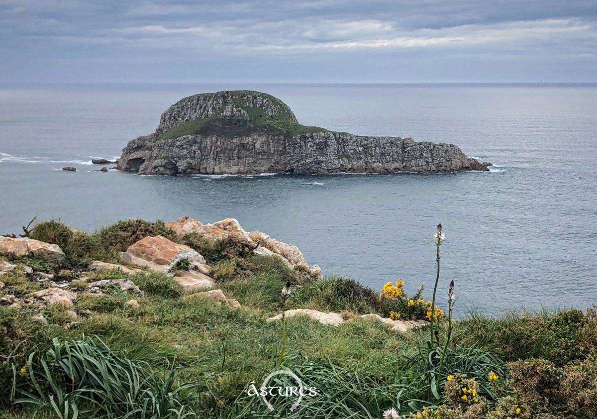 Isla de la Deva, Asturias