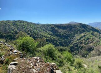 monte cido