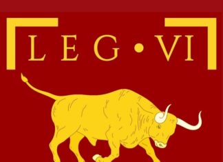 vi victrix