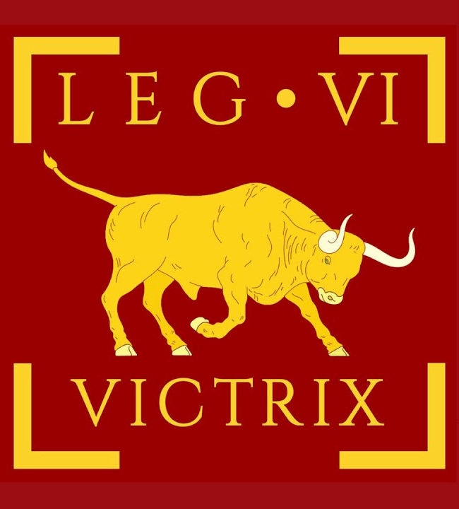 vi victrix