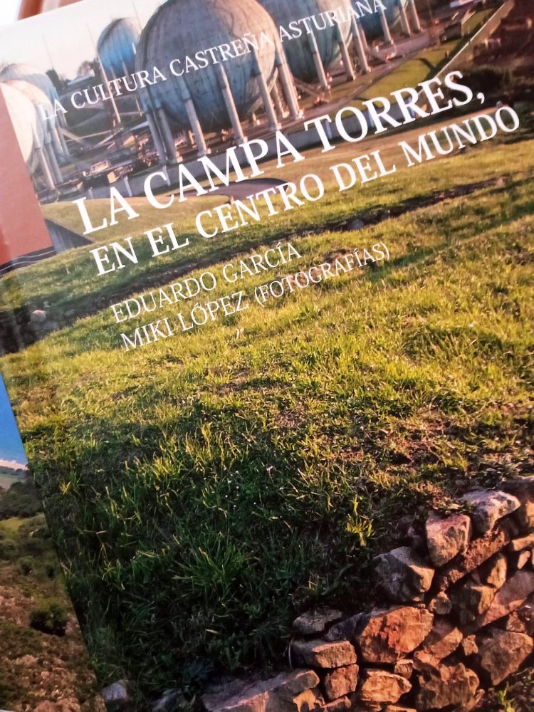 La cultura castreña asturiana: libro 4. La campa Torres, en el centro del mundo