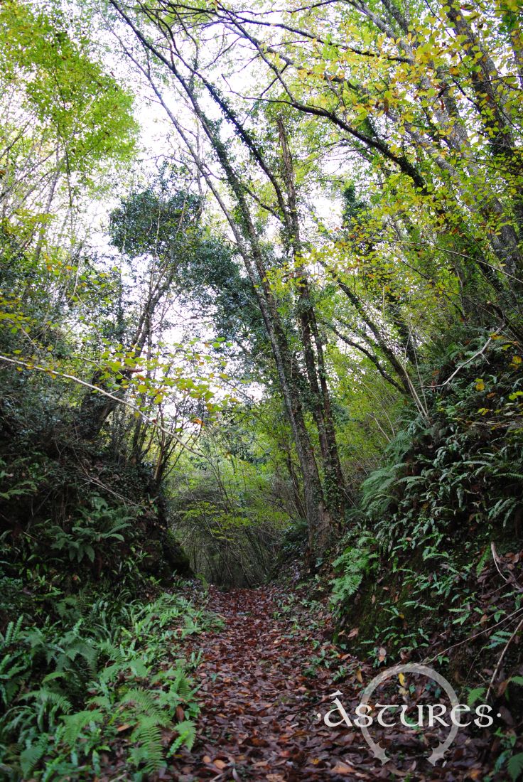 El oro de los astures: minas romanas de Navelgas, Asturias