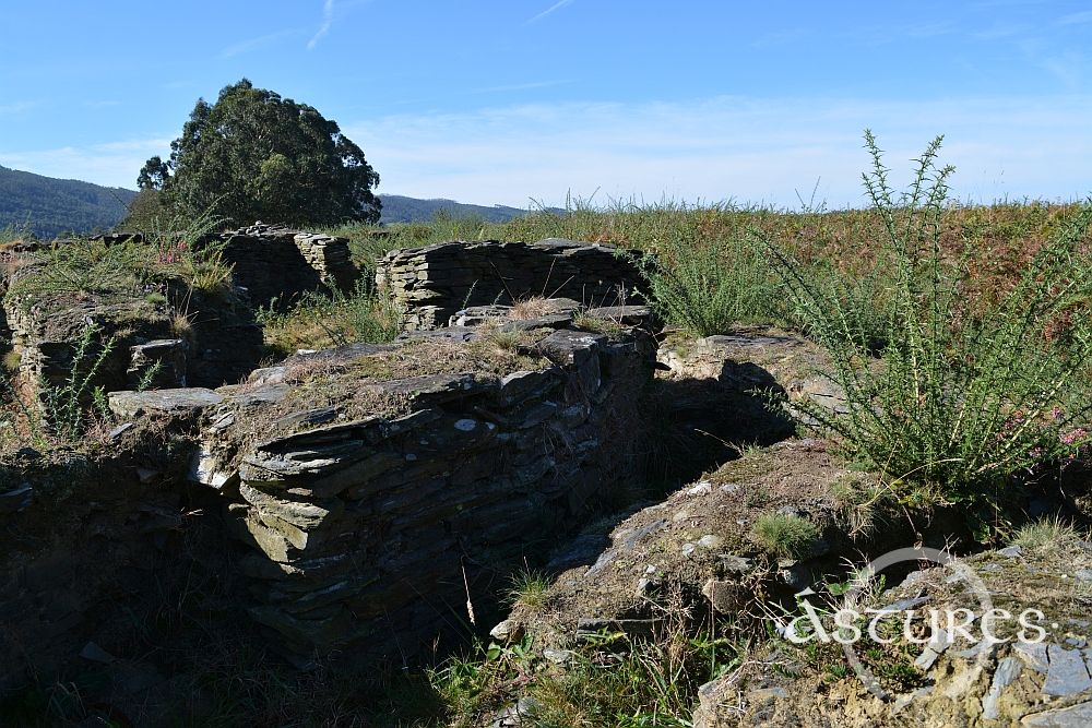 Castro de Mohías