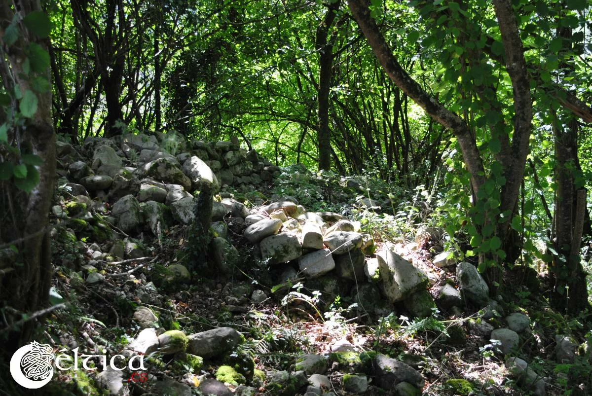 El castro de Antrialgo ya forma parte del Inventario de patrimonio arqueológico del Principado de Asturias