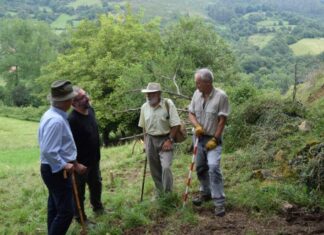 castro alava