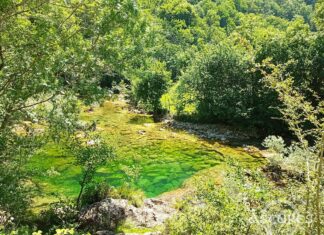 Río Dobra. Asturias. 2023