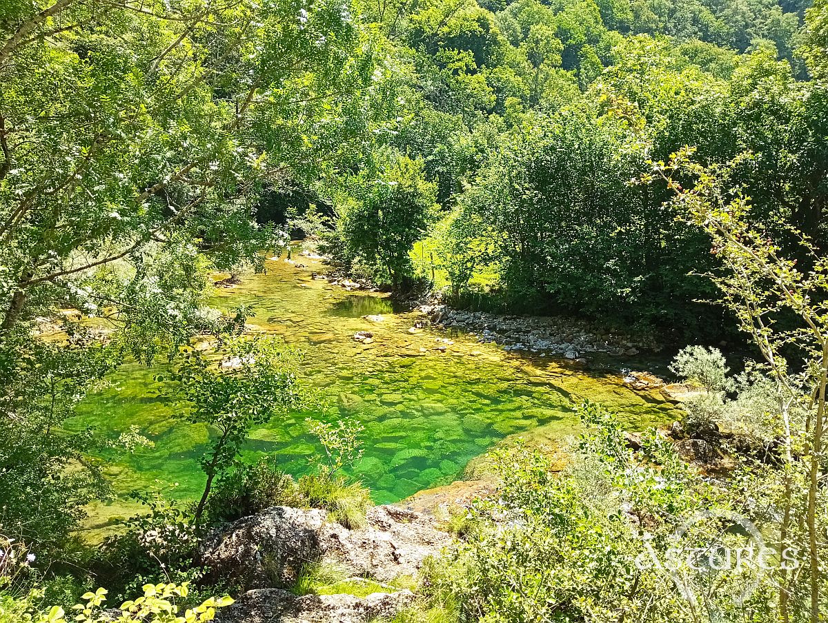 Río Dobra. Asturias. 2023