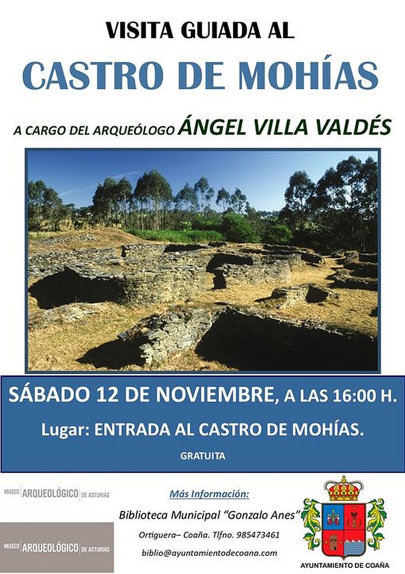 Visita guiada al castro de Mohías con Ángel Villa Valdés