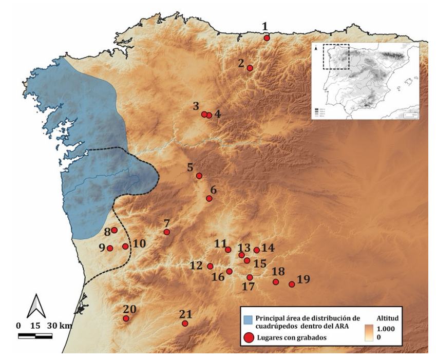Un nuevo estudio ubica los petroglifos de caballos y ciervos del noroeste en el tiempo de los castros