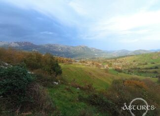vistas