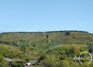 Castro Ventosa