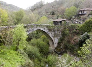 ponte navea