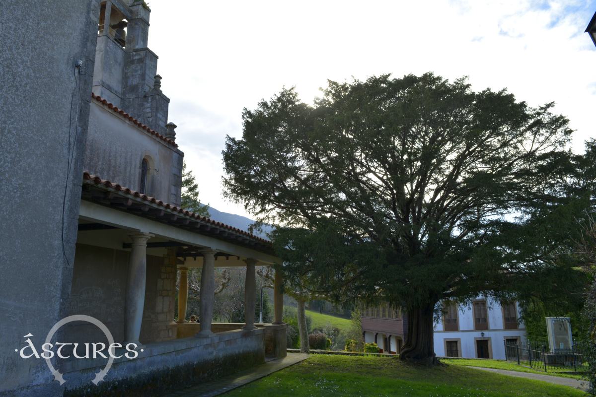 santiago duesos estela