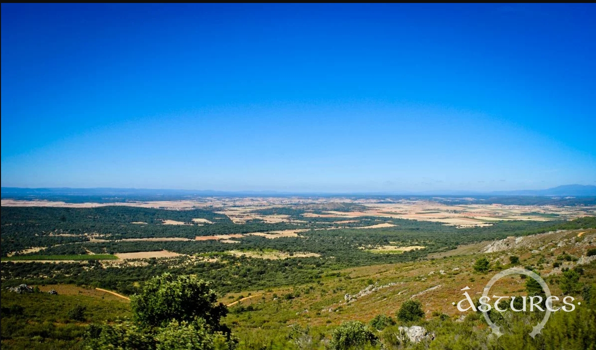 sur leon