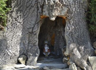 La virgen de Covadonga en un pequeño altar dentro de un fresno en un cruce de caminos. Asturias