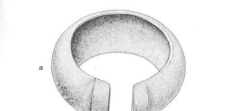 Brazalete de Llamero, De Blas Cortina