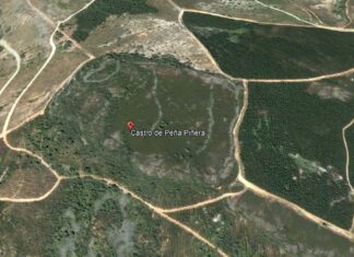 pena pinera2