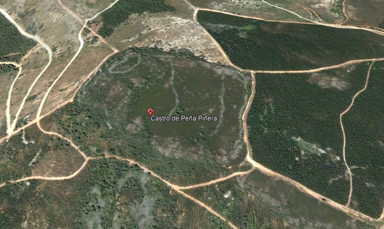 pena pinera2