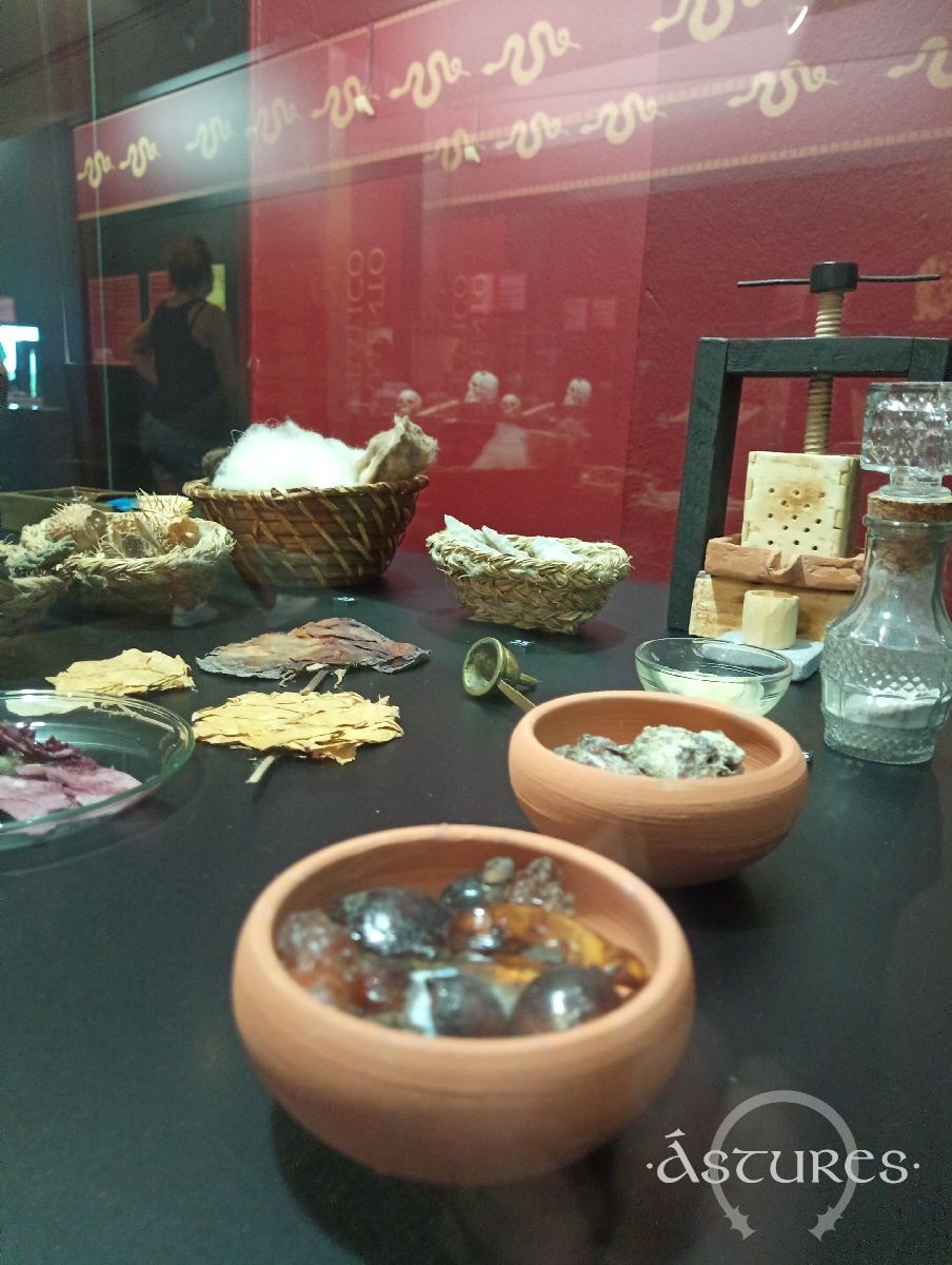 Exposición en la Campa Torres: La medicina en el ejército romano 