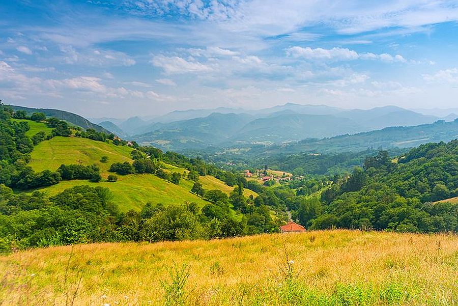 valle de borines