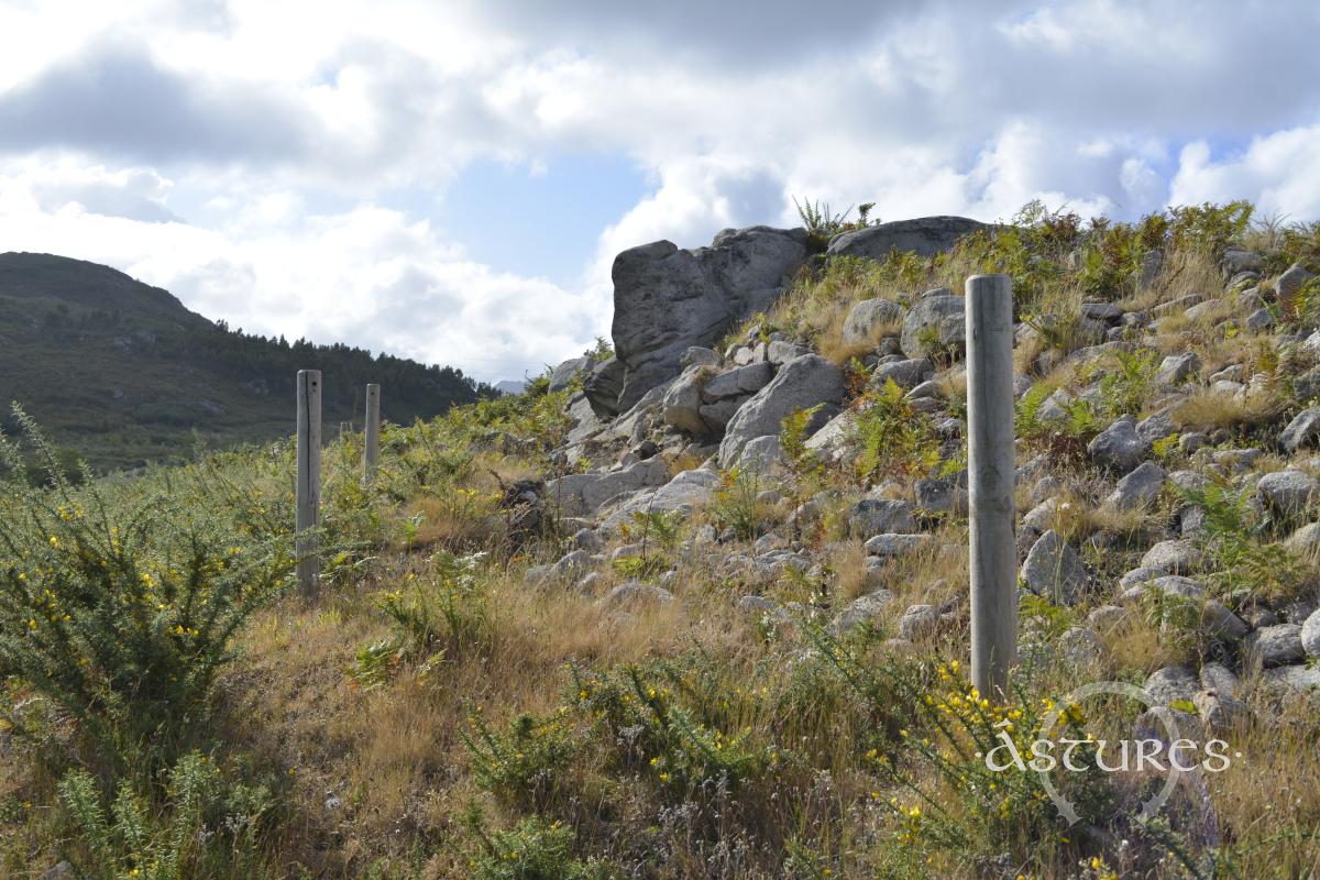Chandebrito, visitando uno de los primeros castros de Galicia