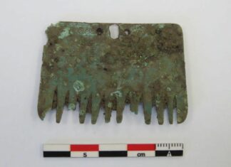Peineta de Bronce. Excavaciones de la Campa Torres, 2023. Fotografía: Museos Arqueológicos de Gijón/Xixón