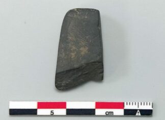 Piedra de toque procedente de las excavaciones de 2023 en la Campa Torres. Foto Red de Museos arqueológicos Gijón / Xixón