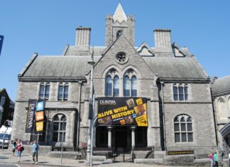 Dublinia