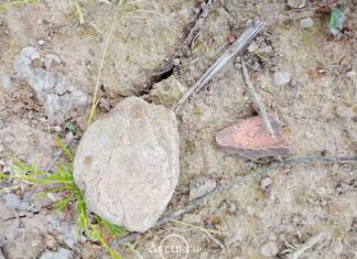 Restos cerámicos pertenecientes al espacio que ocupa el yacimiento arqueológico de Paredes, Siero. Foto A. Fanjul Peraza.
