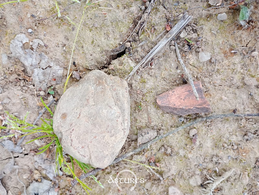 Restos cerámicos pertenecientes al espacio que ocupa el yacimiento arqueológico de Paredes, Siero. Foto A. Fanjul Peraza.