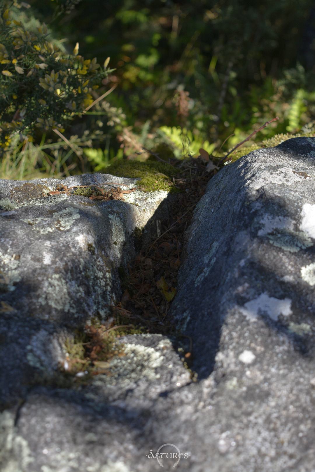 Turismo arqueológico: El castro de Pedra Moura en Gondomar. Pontevedra