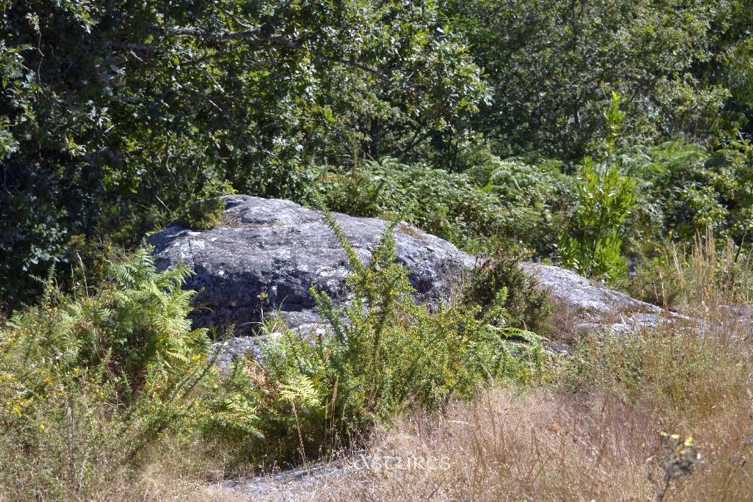 Turismo arqueológico: El castro de Pedra Moura en Gondomar. Pontevedra