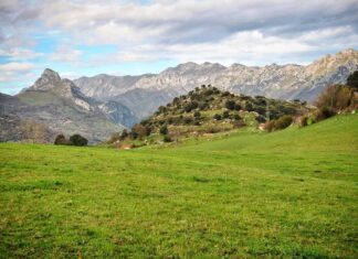Suarias, Penamellera Baja. Asturias