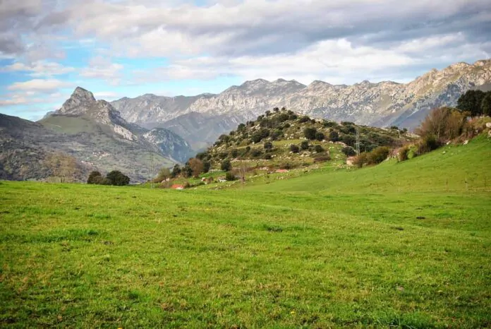 Suarias, Penamellera Baja. Asturias