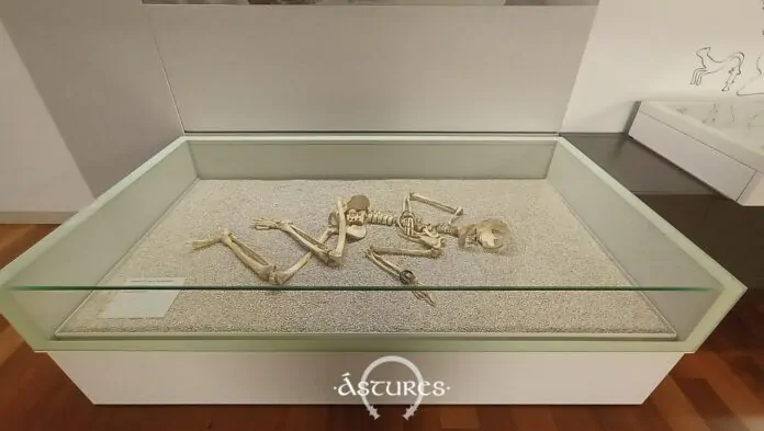 Vitrina de la chica de Fontenegroso. Museo arqueológico de Asturias.