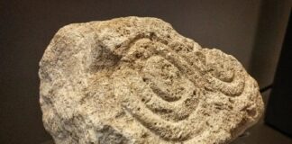 Piedra con decoración sogueada de Llagú. Museo Arqueológico de Asturias.