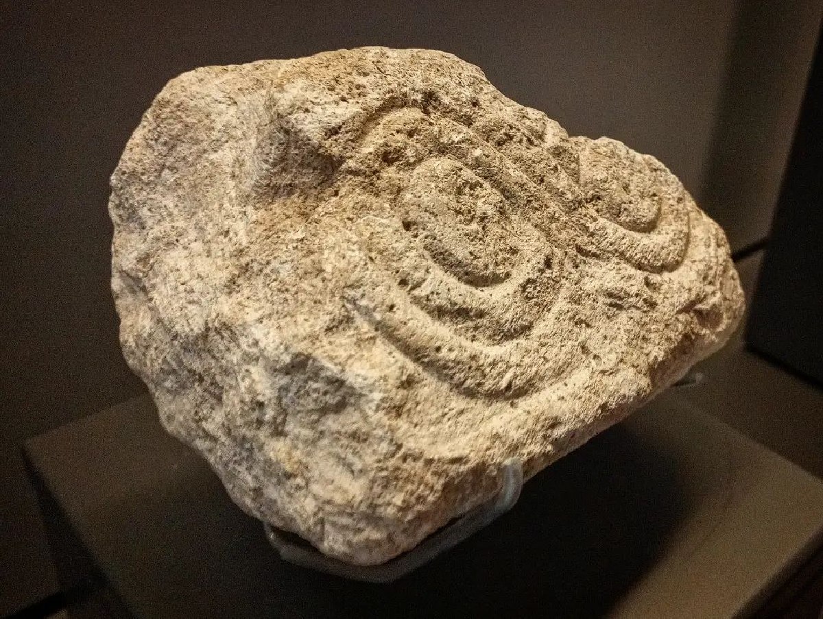 Piedra con decoración sogueada de Llagú. Museo Arqueológico de Asturias.