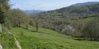 Finca de la Carenda. Moñes