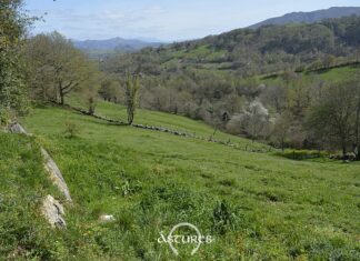 Finca de la Carenda. Moñes