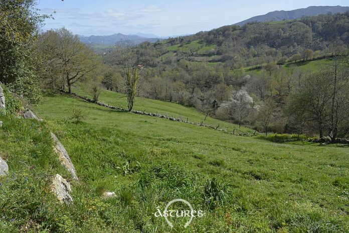 Finca de la Carenda. Moñes Finca de la Carenda. Moñes
