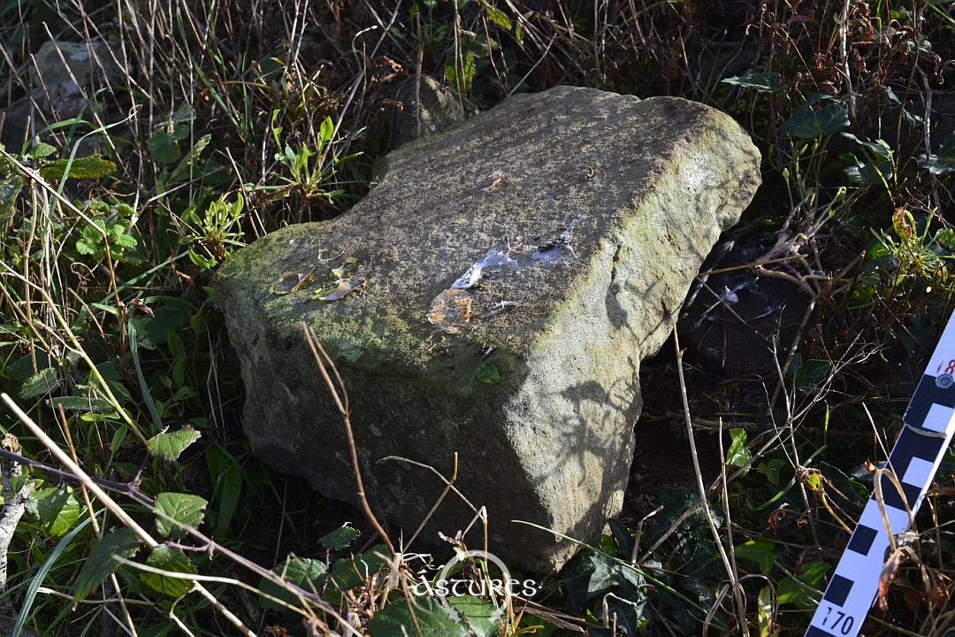 Molino barquiforme o de vaivén. Asturias