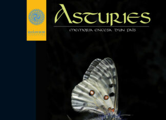 Asturies. Memoria encesa d'un país. nº40
