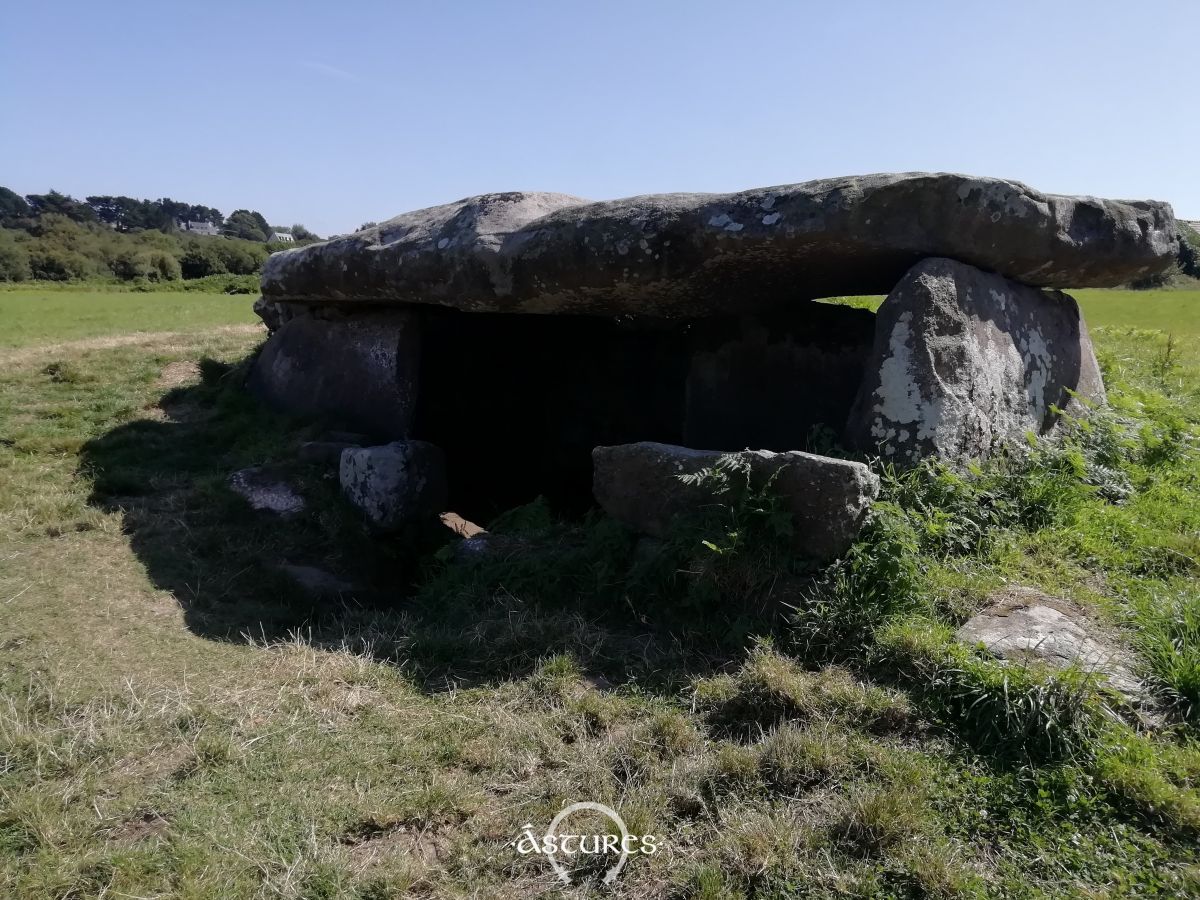 Dolmen de Kergunteuil en 2019