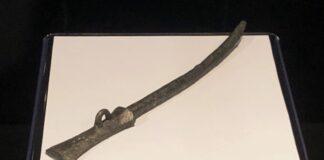 Aguja para vestimenta. Siglos VI al IV a.C. Campa Torres