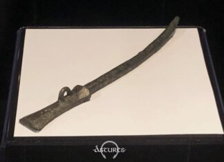 Aguja para vestimenta. Siglos VI al IV a.C. Campa Torres