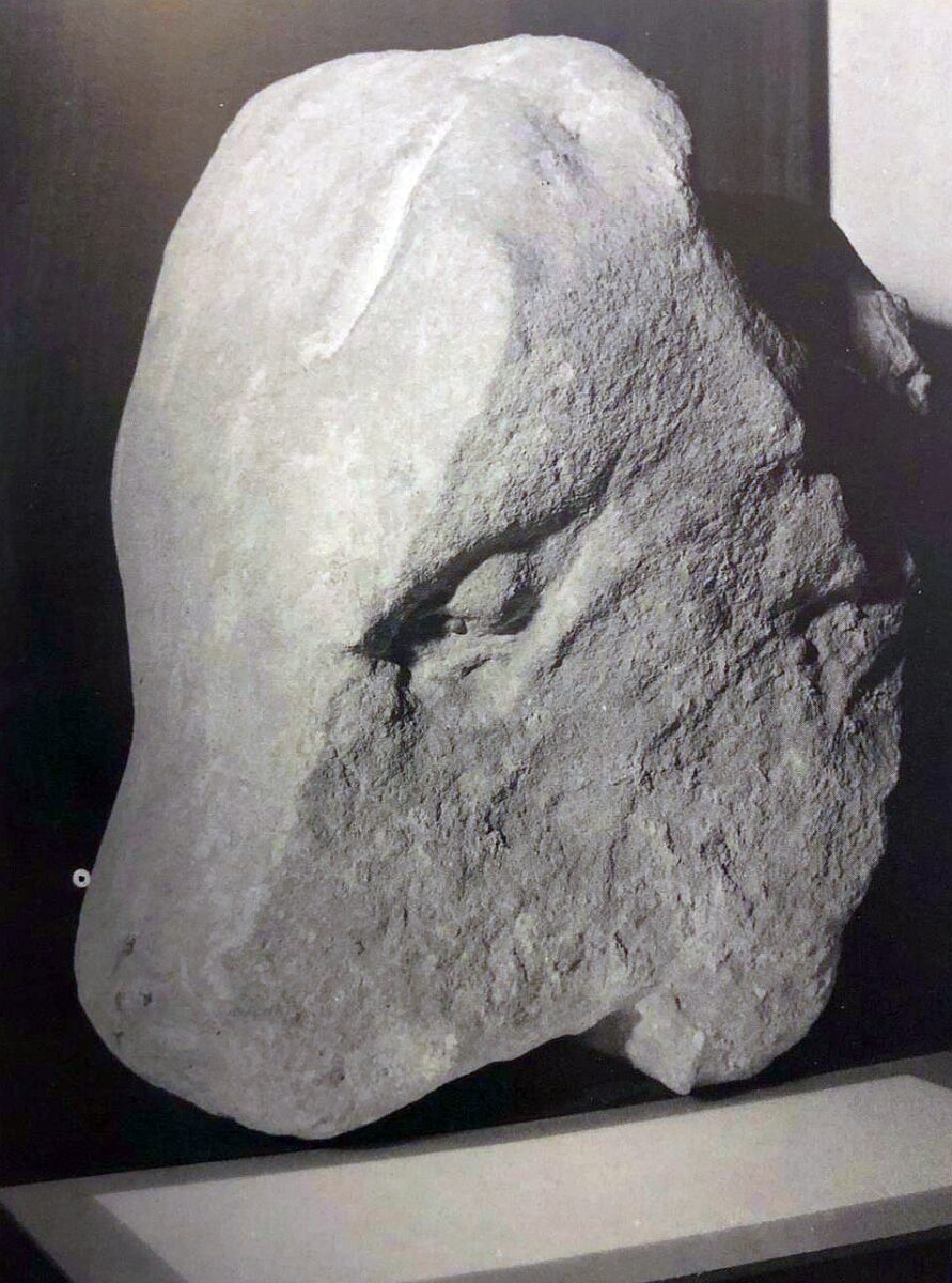 Fotografía de la pieza en el Catálogo de las Edades de los Metales del Museo Arqueológico de Asturias. 1982