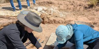 Foto de un momento de los trabajos arqueológicos realizados en El Castillar en 2024. Créditos: Proyecto Arqueológico Poblado de El Castillar.
